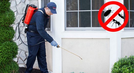 Sivrice Tahtakurusu İlaçlama böcek ilaçlama ve haşere kontrolü — ilaclama-tr.com